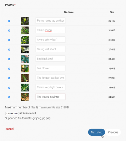 Upload the other photos