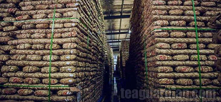 A puer cha bing warehouse