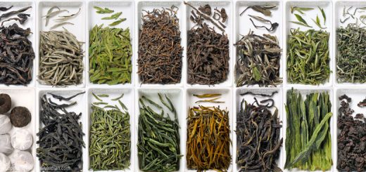 An array of different tea forms, with different tea names and tea naming concepts