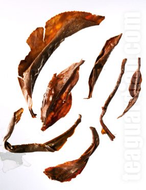 Infused leaves of Red Jade black tea