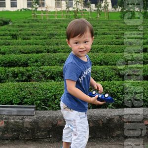 Tea Farm with Red Jade cultivars