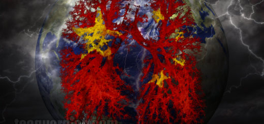 How a run away virus in China spread to the world