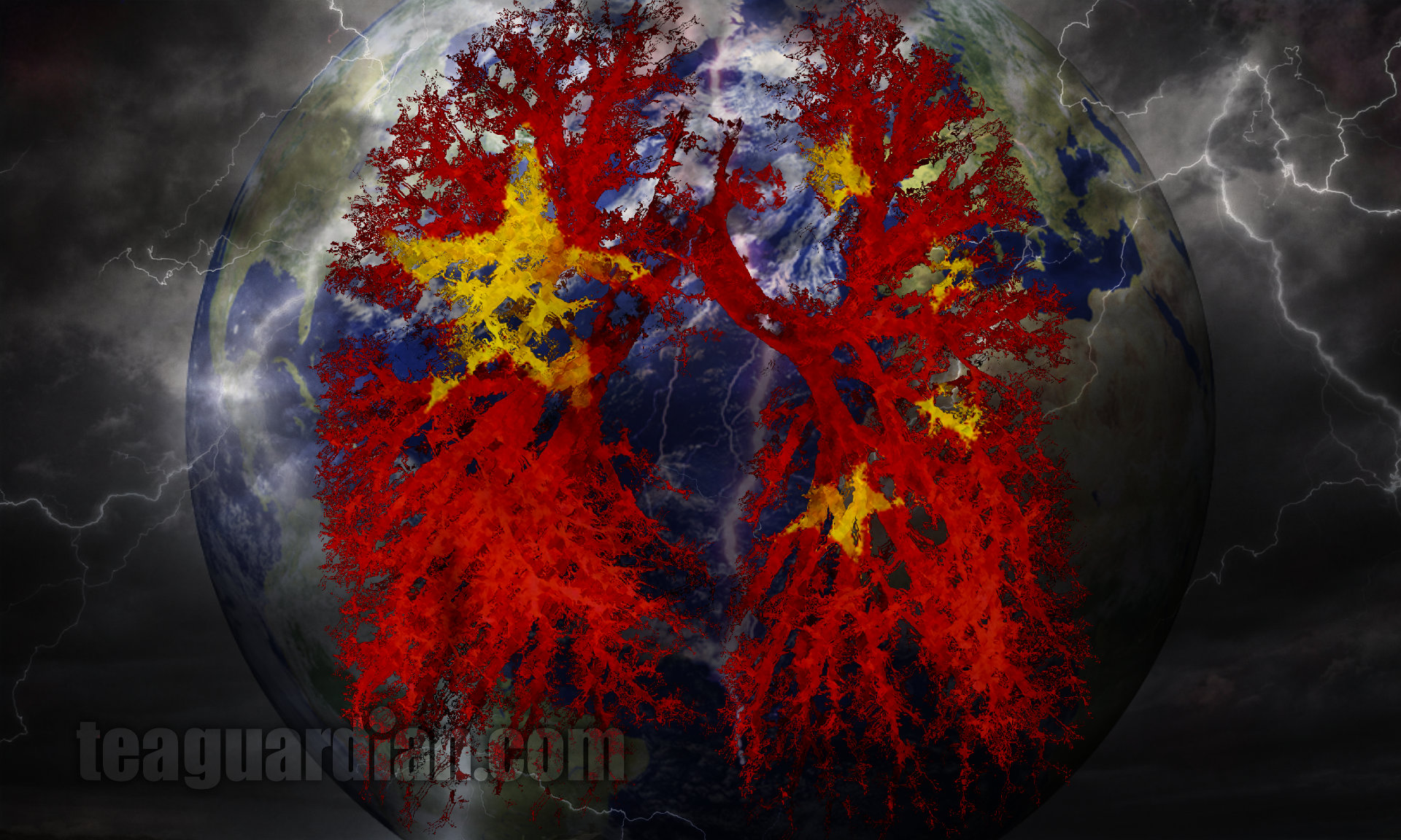 How a run away virus in China spread to the world